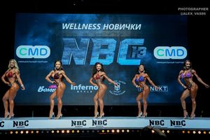 WELLNESS НОВИЧКИ
